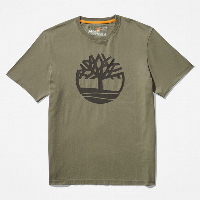 Timberland Front-Graficke Majice Maslinasto Zelene | 73799143