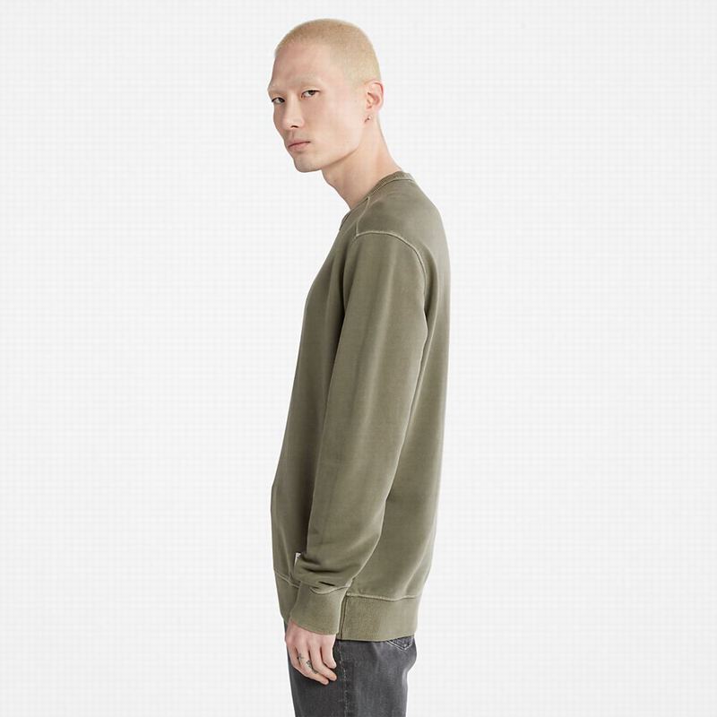 Timberland GC Crewneck Dukserice Maslinasto Zelene | 39667177