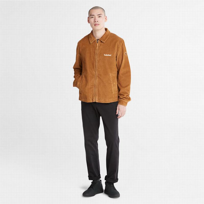 Timberland Garfield Hooded Jakne Smeđe | 23767808