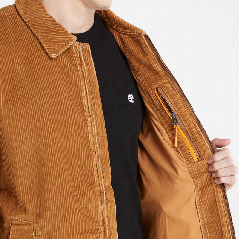 Timberland Garfield Hooded Jakne Smeđe | 23767808