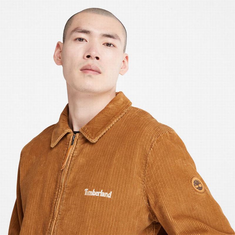 Timberland Garfield Hooded Jakne Smeđe | 23767808