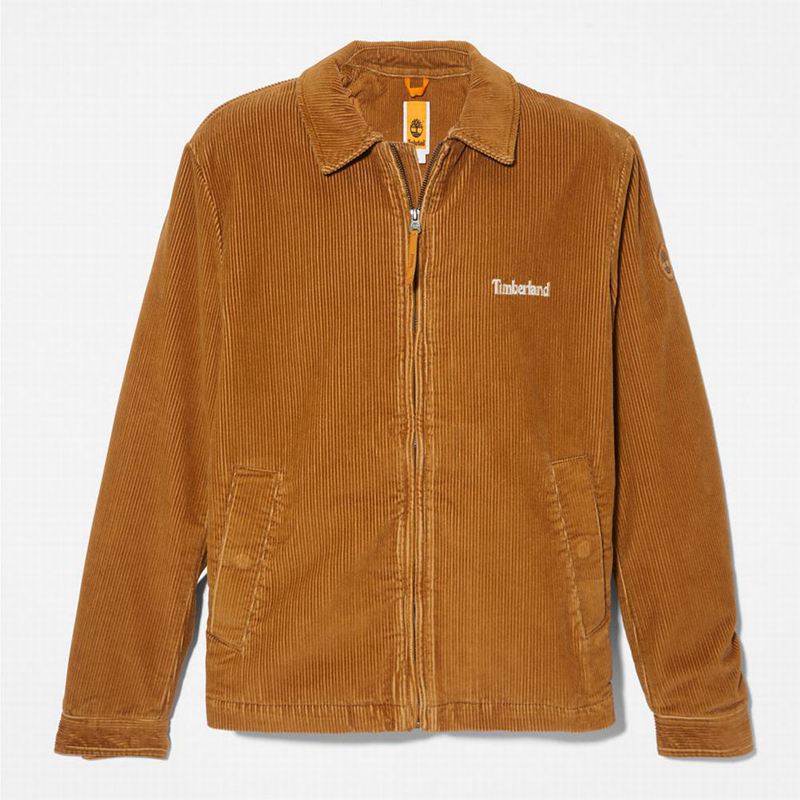 Timberland Garfield Hooded Jakne Smeđe | 23767808
