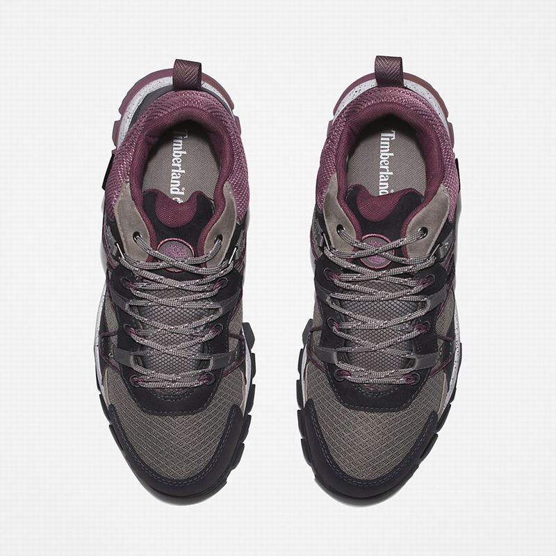 Timberland Garrison Trail Planinarske Cipele Sive | 77300889