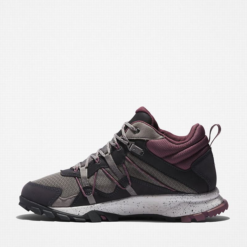 Timberland Garrison Trail Planinarske Cipele Sive | 77300889