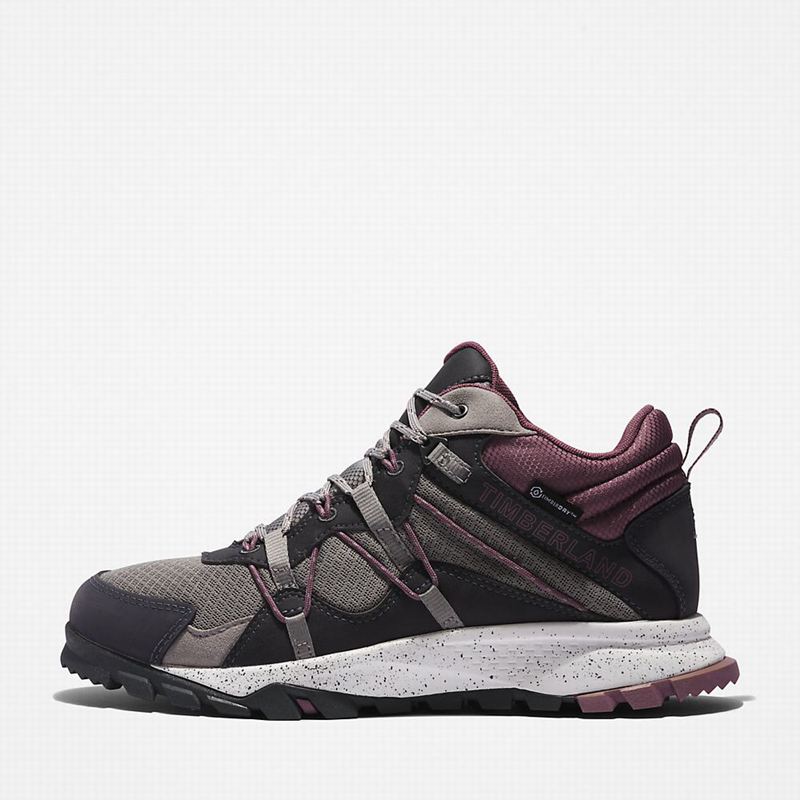 Timberland Garrison Trail Planinarske Cipele Sive | 77300889