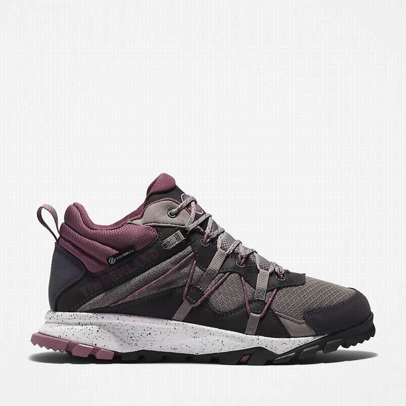 Timberland Garrison Trail Planinarske Cipele Sive | 77300889