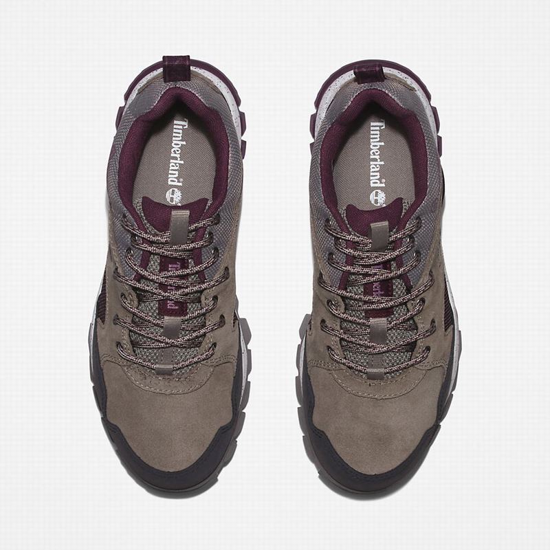 Timberland Garrison Trail Tenisice Sive | 11405244