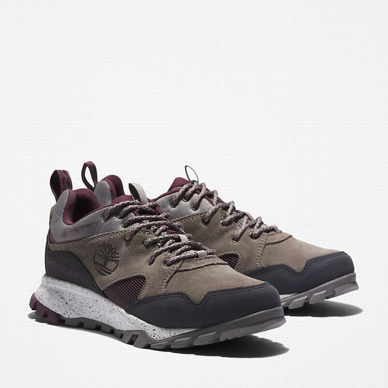 Timberland Garrison Trail Tenisice Sive | 11405244
