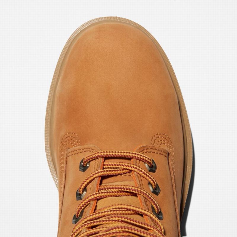 Timberland Generation T Steel Toe Waterproof Radne Čizme Smeđe | 38387218