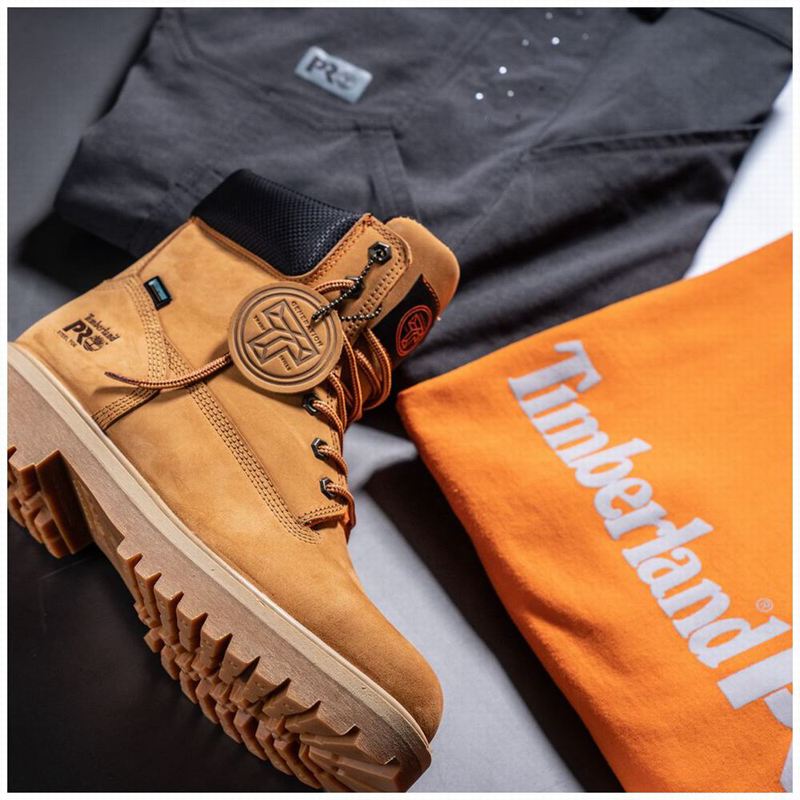 Timberland Generation T Steel Toe Waterproof Radne Čizme Smeđe | 38387218