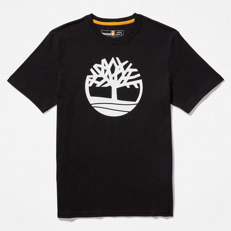 Timberland Graficke-Logo Majice Crne | 29782091