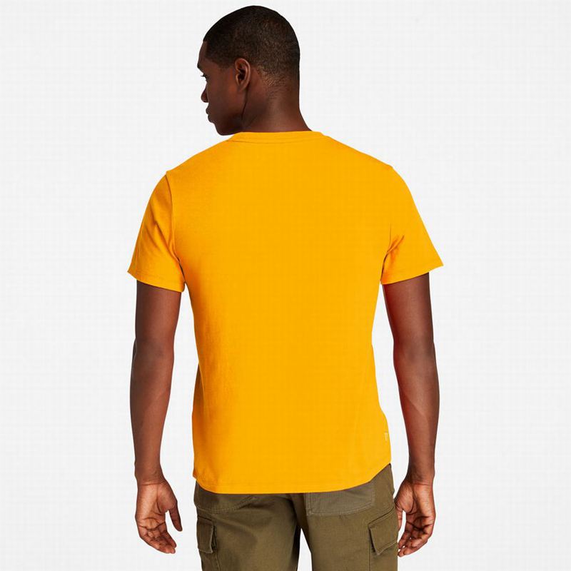 Timberland Graficke-Logo Majice Narančaste | 16755728