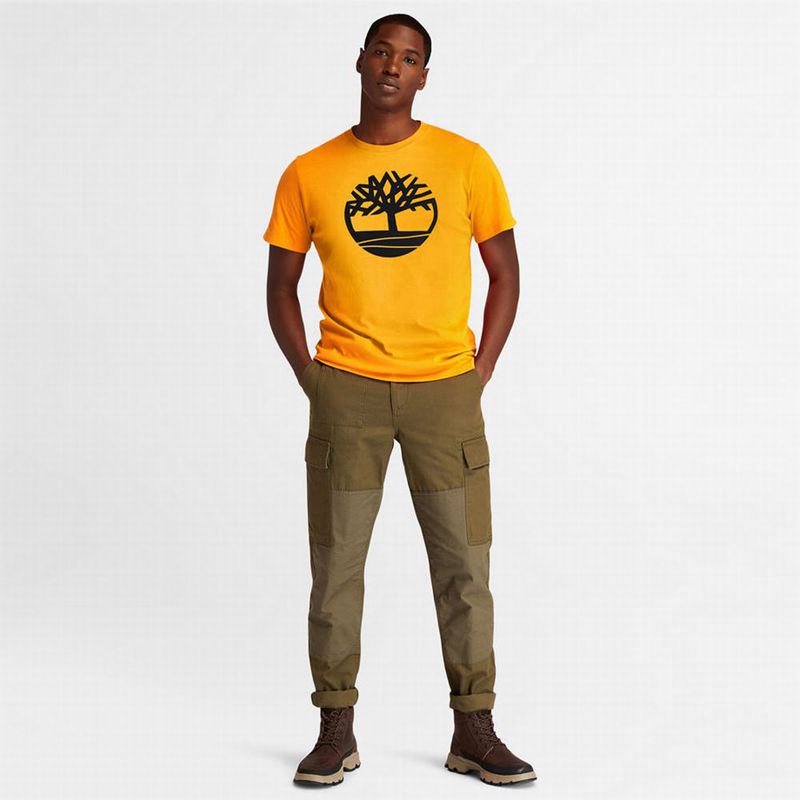 Timberland Graficke-Logo Majice Narančaste | 16755728