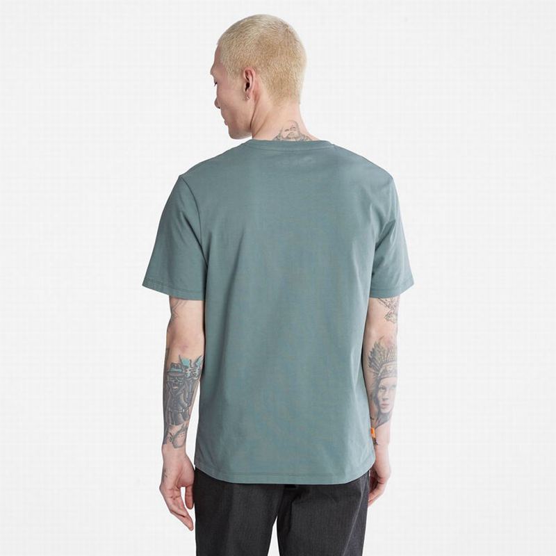 Timberland Graficke-Logo Majice Sive | 89327502