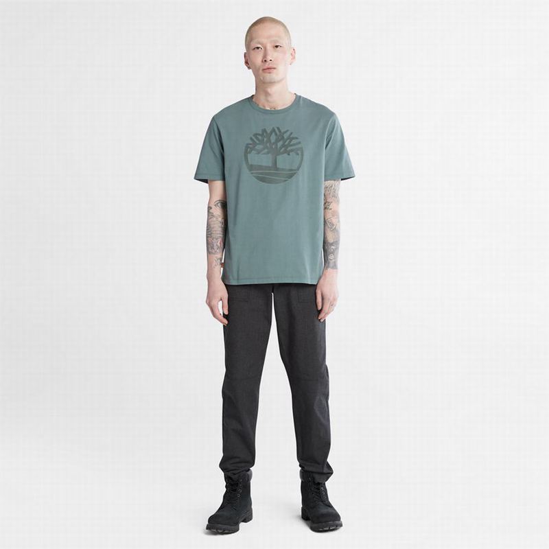 Timberland Graficke-Logo Majice Sive | 89327502