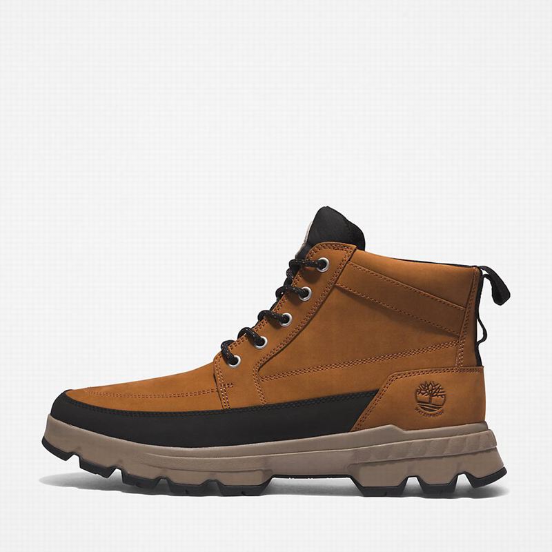 Timberland GreenStride Originali Chukka Čizme Smeđe | 84870242