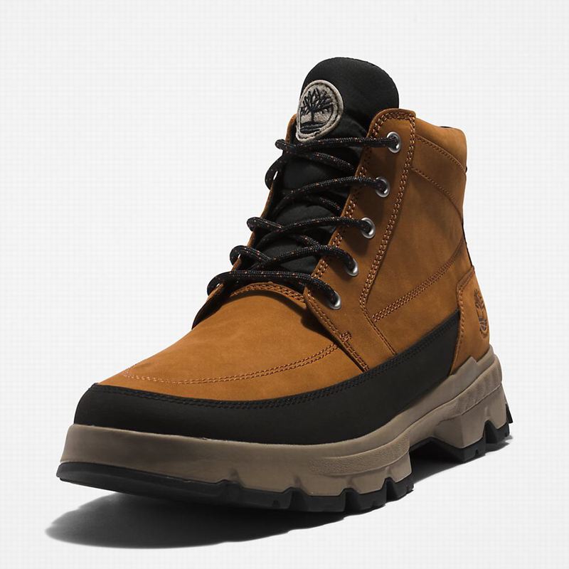 Timberland GreenStride Originali Chukka Čizme Smeđe | 84870242