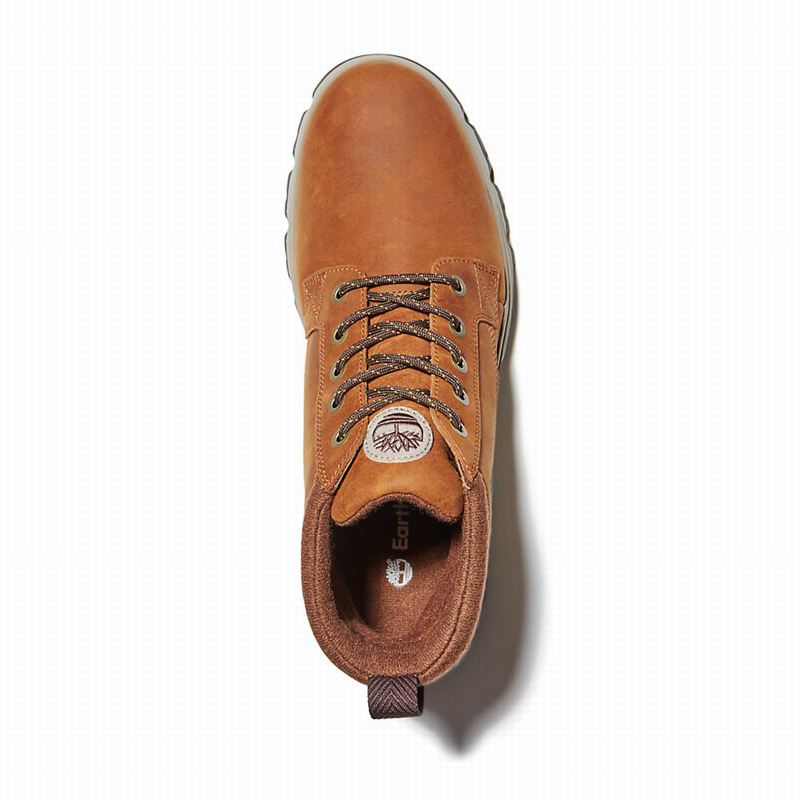 Timberland GreenStride Originali Ultra EK+ Čizme Smeđe | 4684189