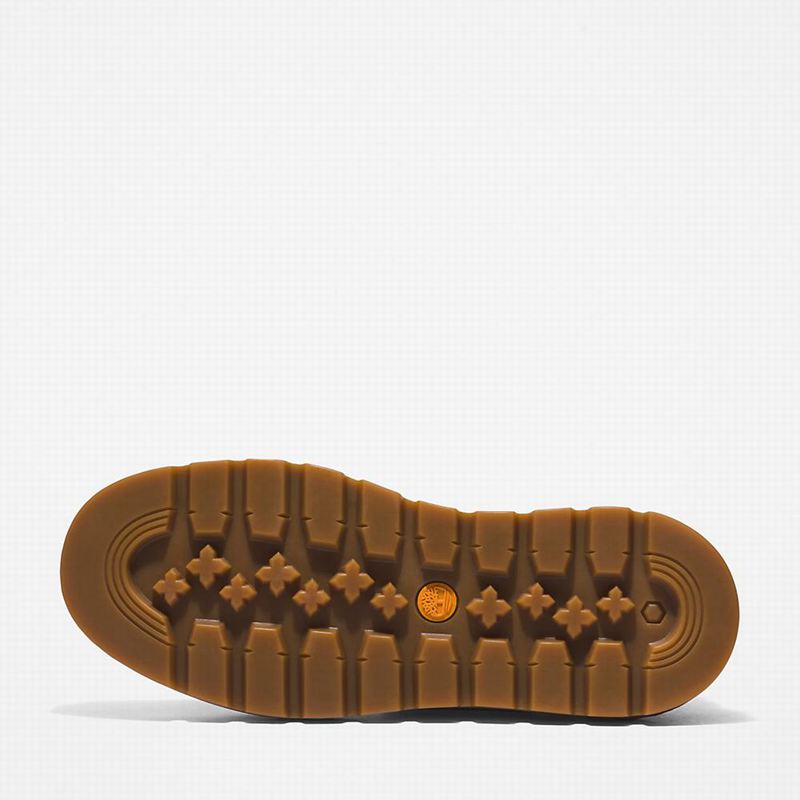 Timberland GreenStride Ray City EK+ Tenisice Sive | 22040409