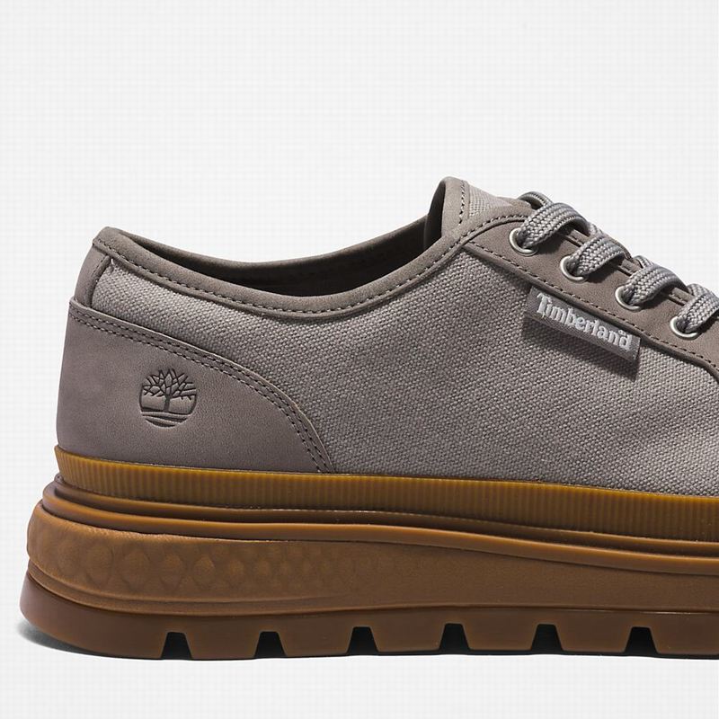 Timberland GreenStride Ray City EK+ Tenisice Sive | 22040409