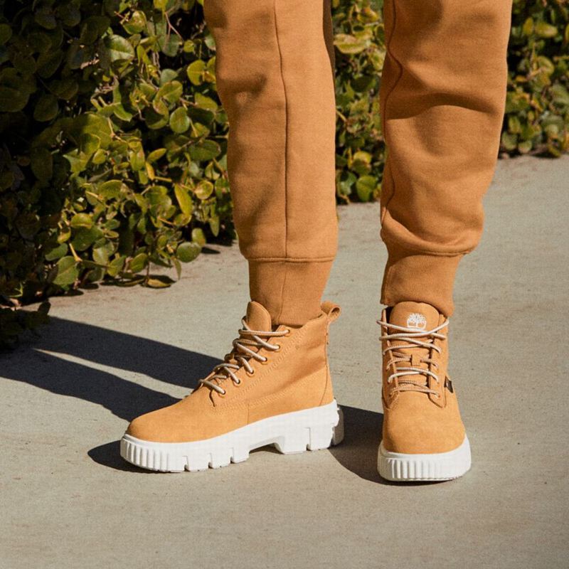 Timberland Greyfield Čizme Žute | 61280188