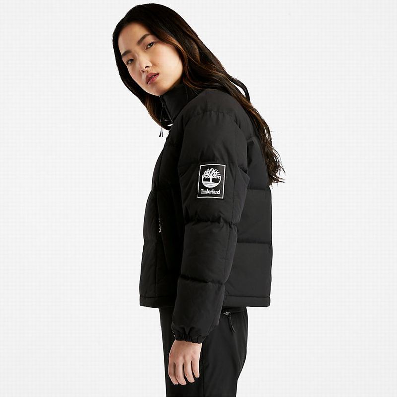 Timberland Gritman Lined Hooded Canvas Zimske Jakne Crne | 15523124