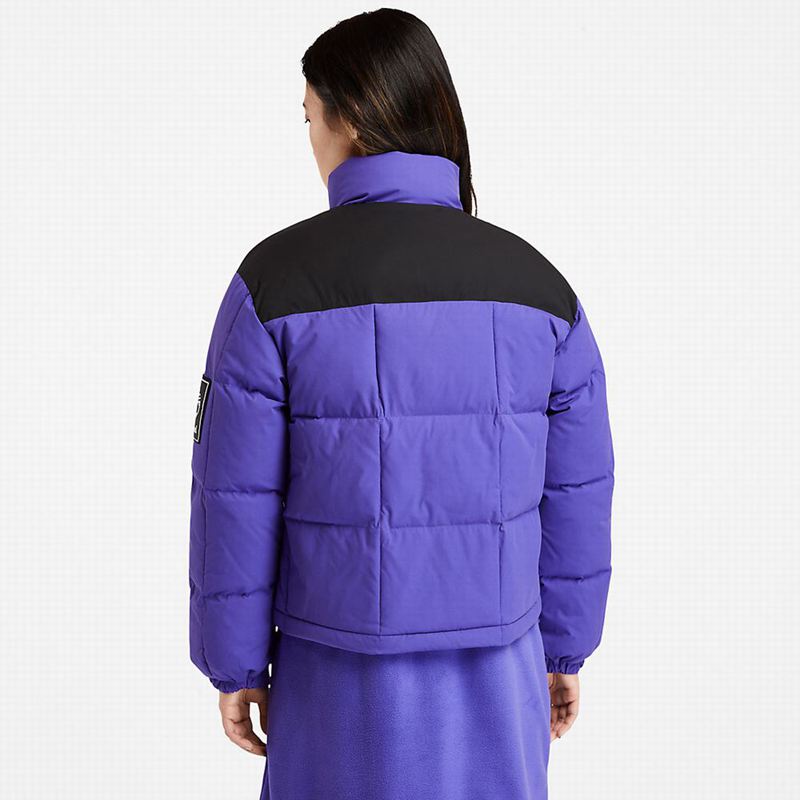 Timberland Gritman Lined Hooded Canvas Zimske Jakne Plave | 34504779