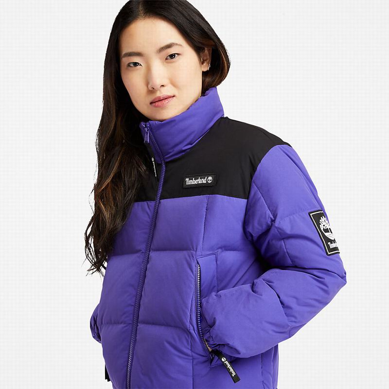 Timberland Gritman Lined Hooded Canvas Zimske Jakne Plave | 34504779