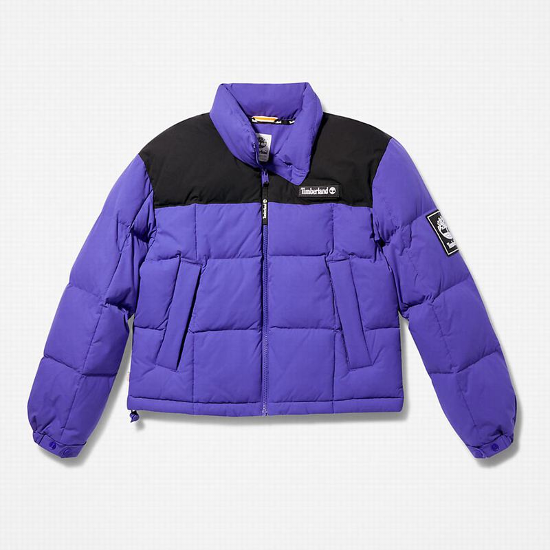 Timberland Gritman Lined Hooded Canvas Zimske Jakne Plave | 34504779