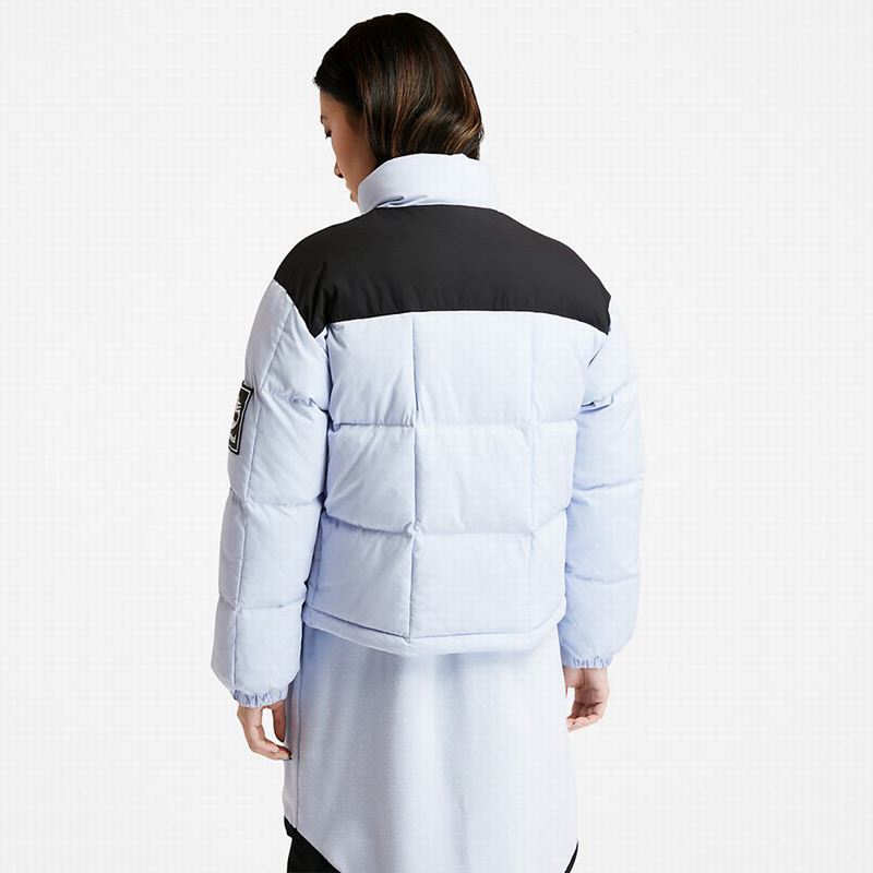 Timberland Gritman Lined Hooded Canvas Zimske Jakne Plave | 39581582
