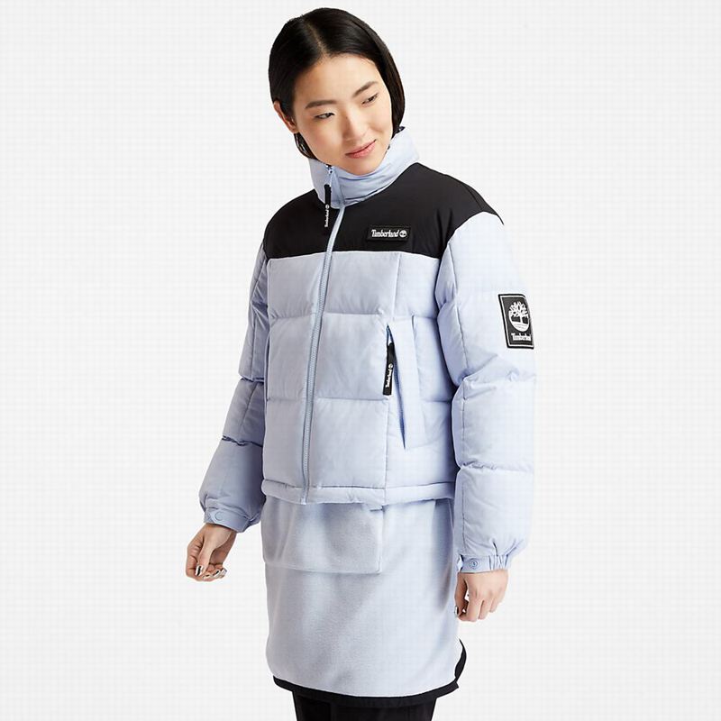 Timberland Gritman Lined Hooded Canvas Zimske Jakne Plave | 39581582