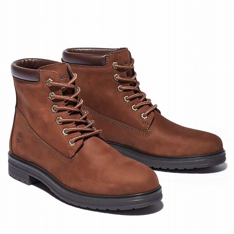Timberland Hannover Hill 6 Inch Čizme Smeđe | 74096745
