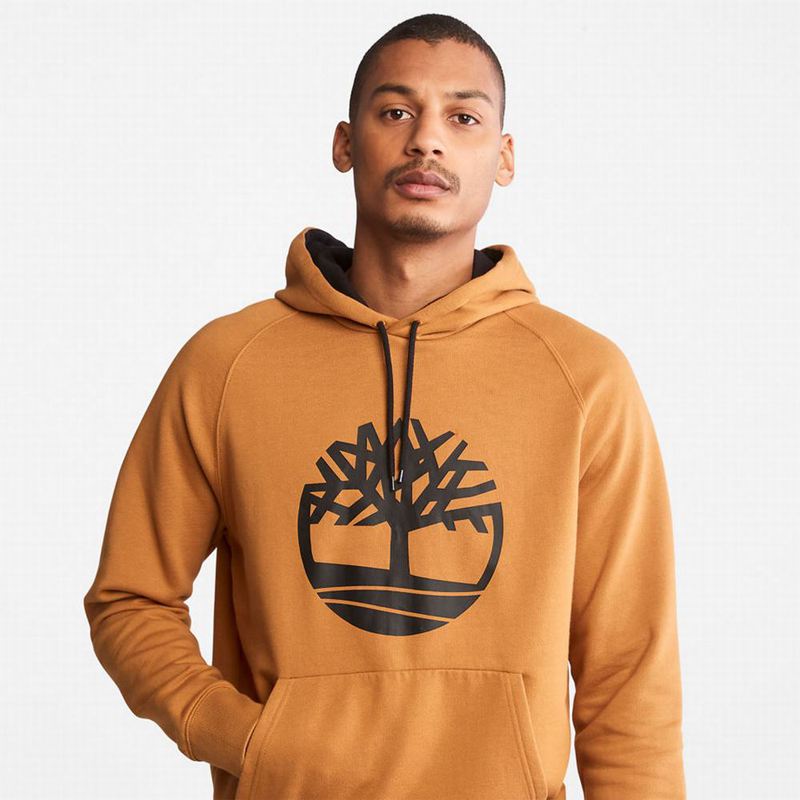 Timberland Heritage Logo Majica S Kapuljačom Žute | 30645094