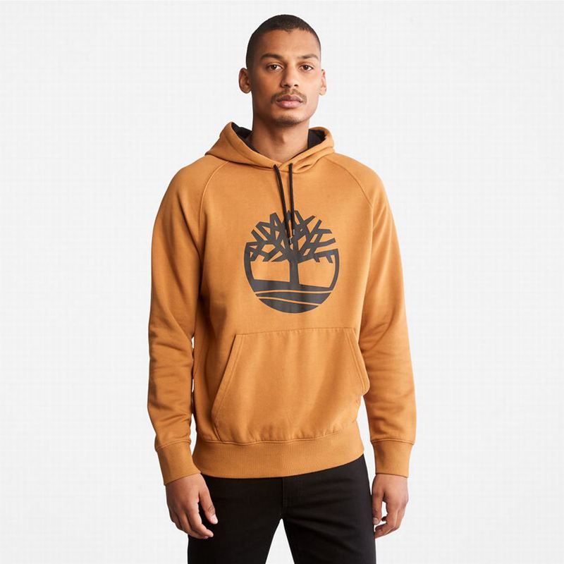 Timberland Heritage Logo Majica S Kapuljačom Žute | 30645094