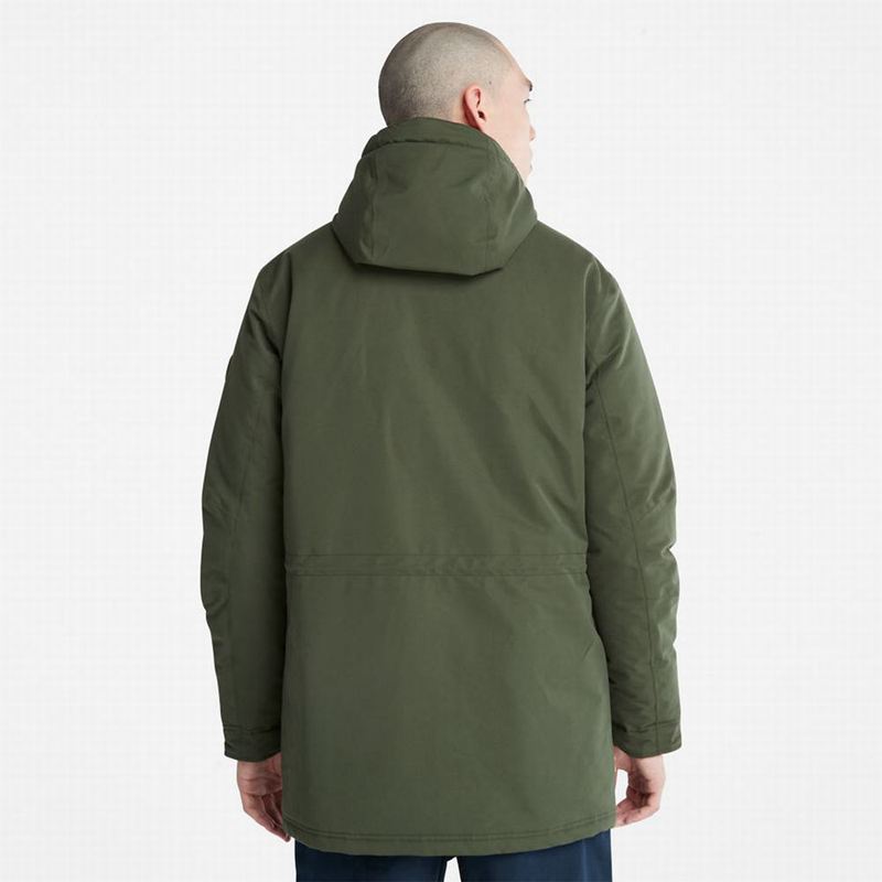 Timberland Insulated City Parka Maslinasto Zelene | 71325991