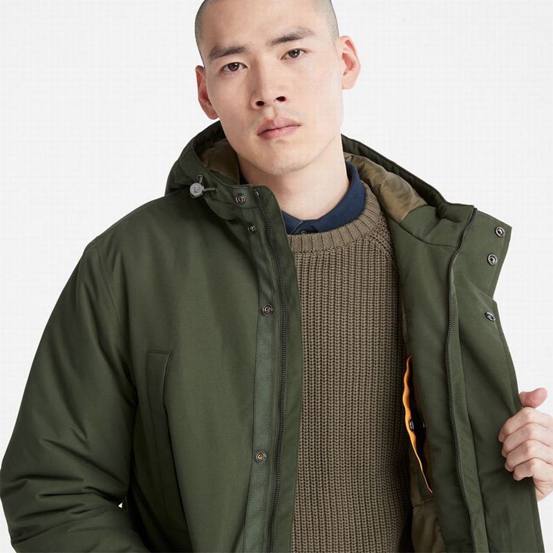Timberland Insulated City Parka Maslinasto Zelene | 71325991