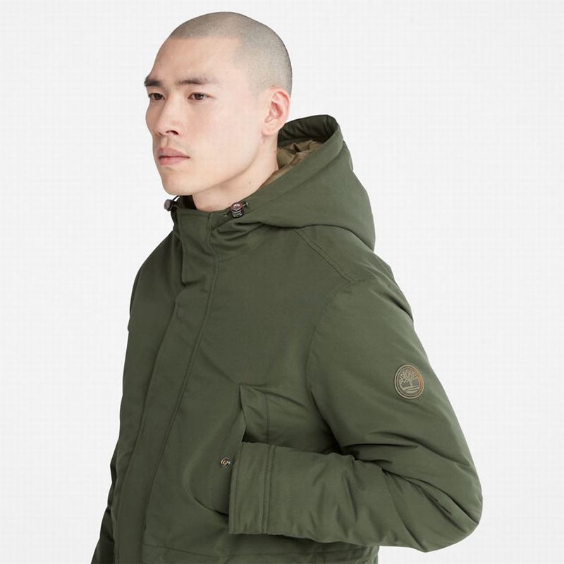 Timberland Insulated City Parka Maslinasto Zelene | 71325991