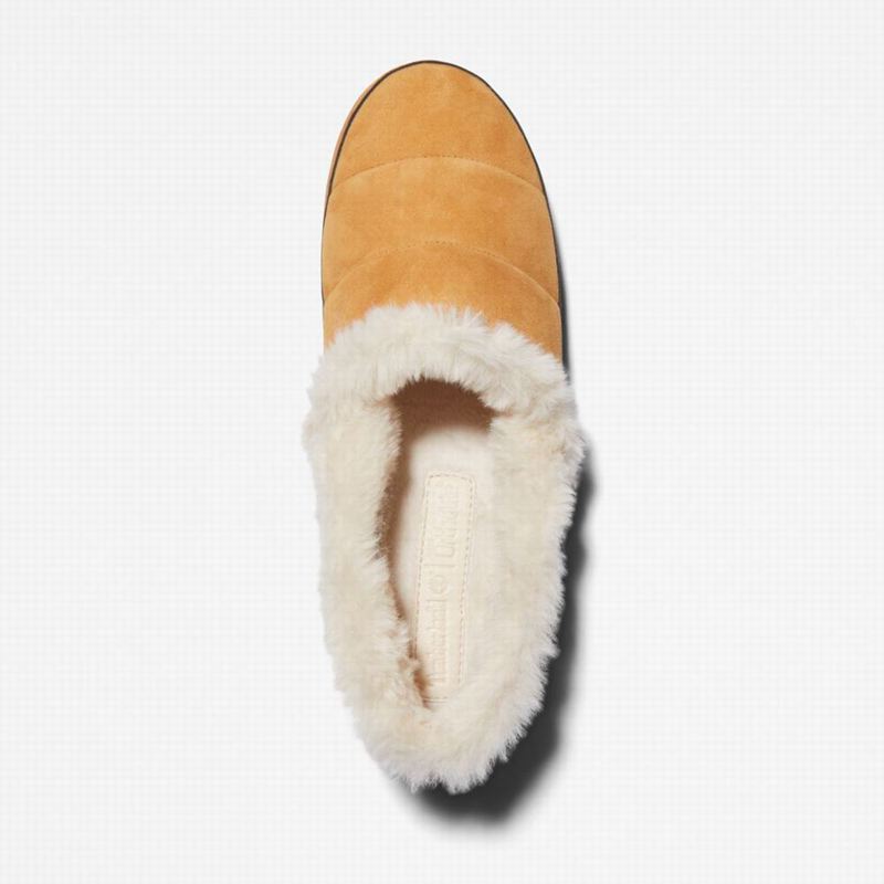 Timberland Joslin Papuče Smeđe | 50196848