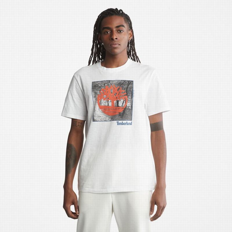 Timberland Kennebec River Tree Logo Majice Bijele | 47480993