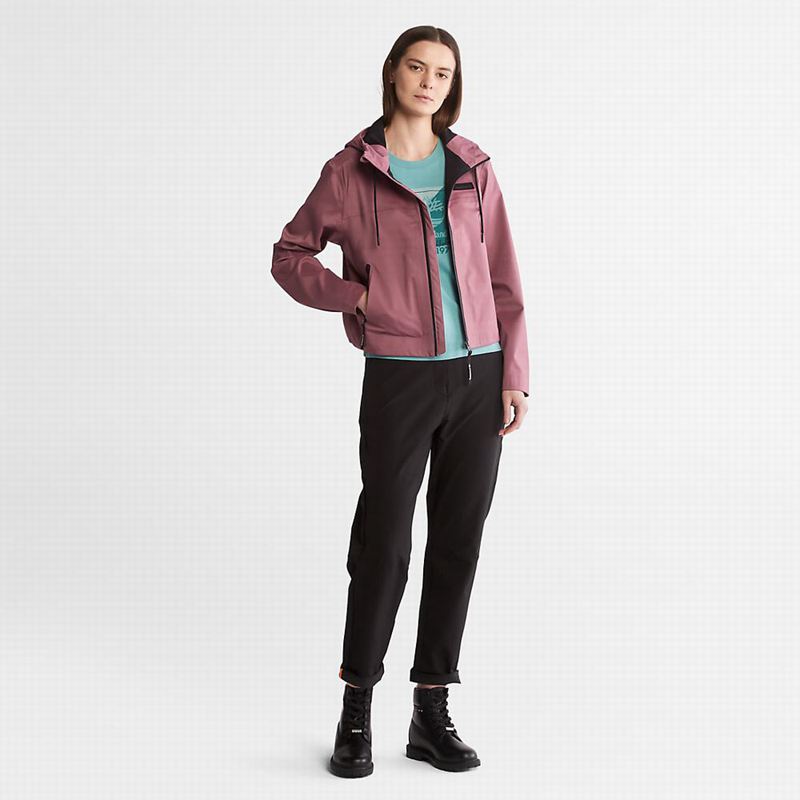 Timberland Kennebec River Tree Logo Majice Tirkizne | 62687144