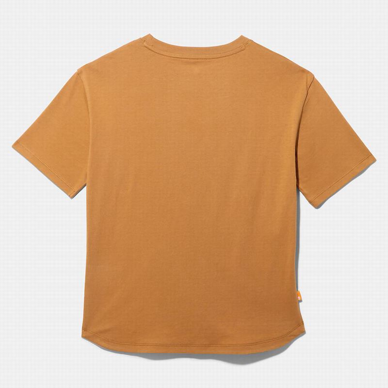 Timberland Kennebec River Tree Logo Majice Smeđe | 92526201