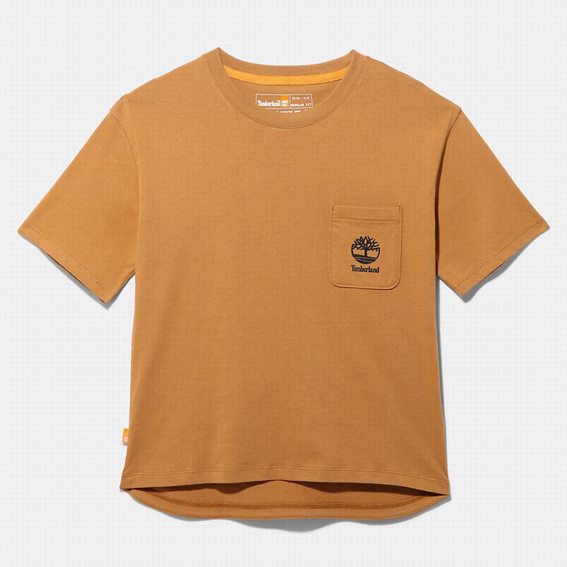 Timberland Kennebec River Tree Logo Majice Smeđe | 92526201