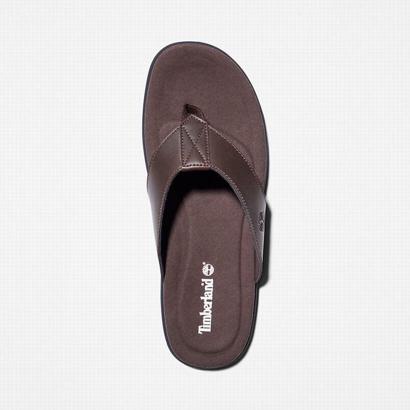 Timberland Kesler Cove Toe-bar Japanke Smeđe | 49741565