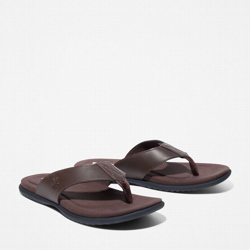 Timberland Kesler Cove Toe-bar Japanke Smeđe | 49741565