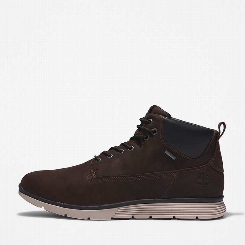 Timberland Killington Gore-Tex Chukka Čizme Smeđe | 52103475