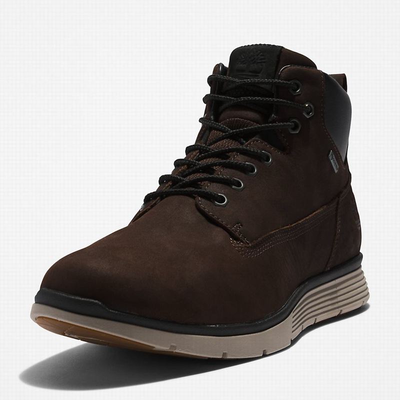 Timberland Killington Gore-Tex Chukka Čizme Smeđe | 52103475