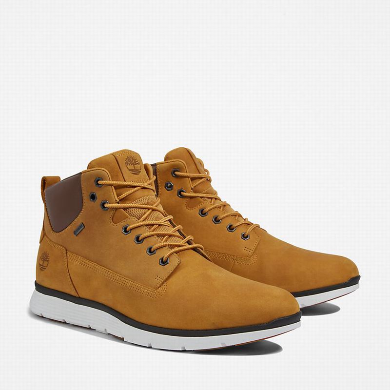 Timberland Killington Gore-Tex Chukka Čizme Žute | 96597051