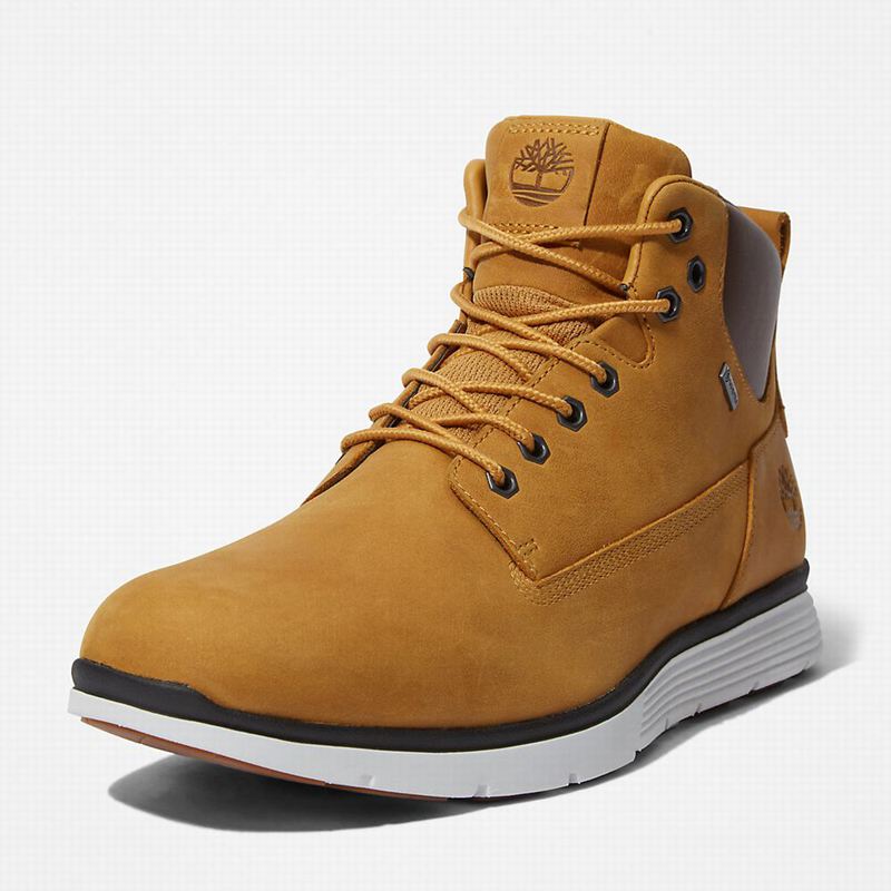 Timberland Killington Gore-Tex Chukka Čizme Žute | 96597051