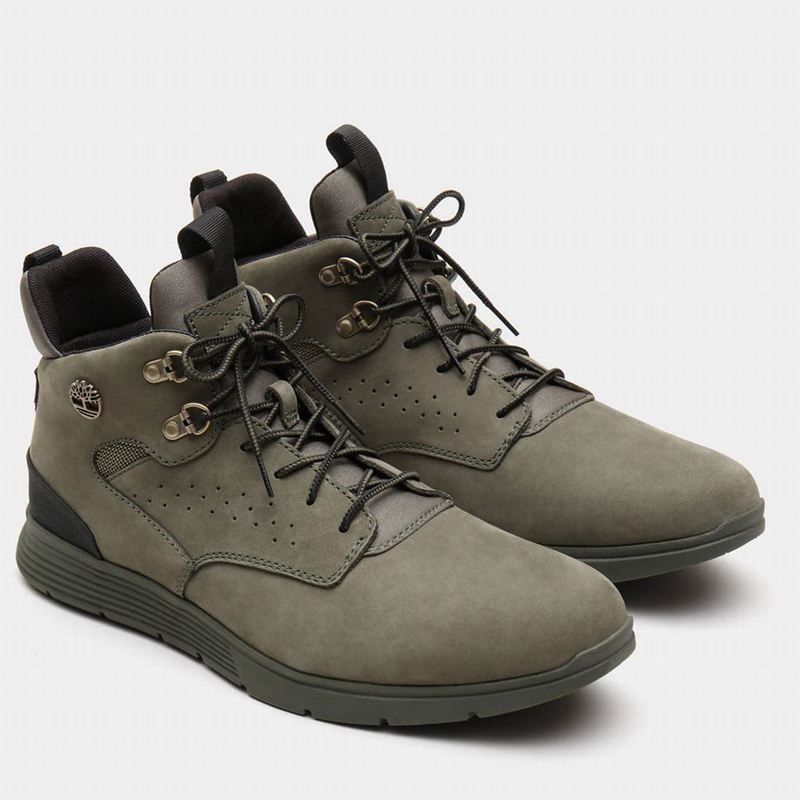 Timberland Killington Hiker Chukka Čizme Maslinasto Zelene | 2477494