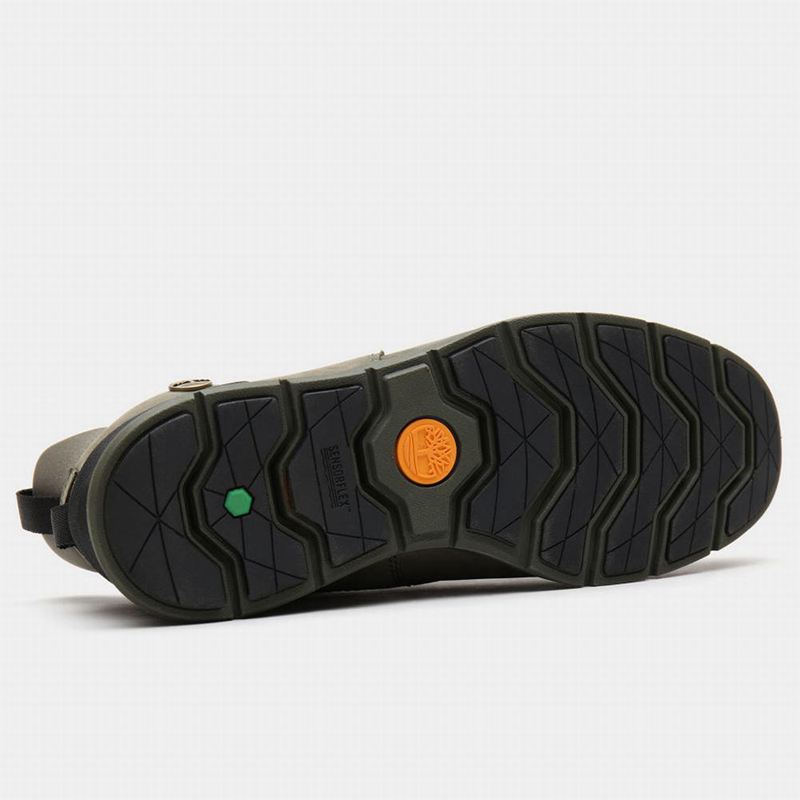 Timberland Killington Hiker Chukka Čizme Maslinasto Zelene | 2477494